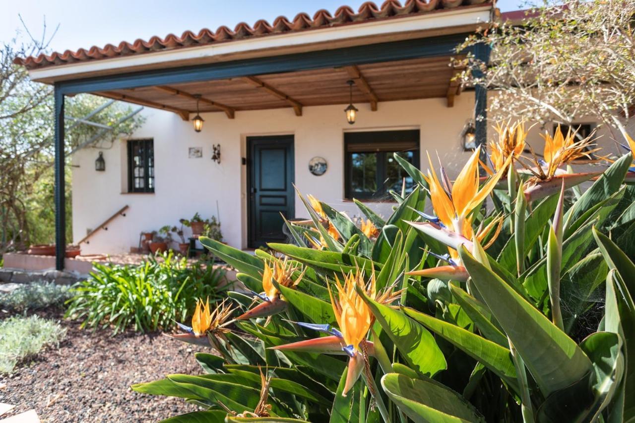 Live La Laguna Casita Vieja Zewnętrze zdjęcie
