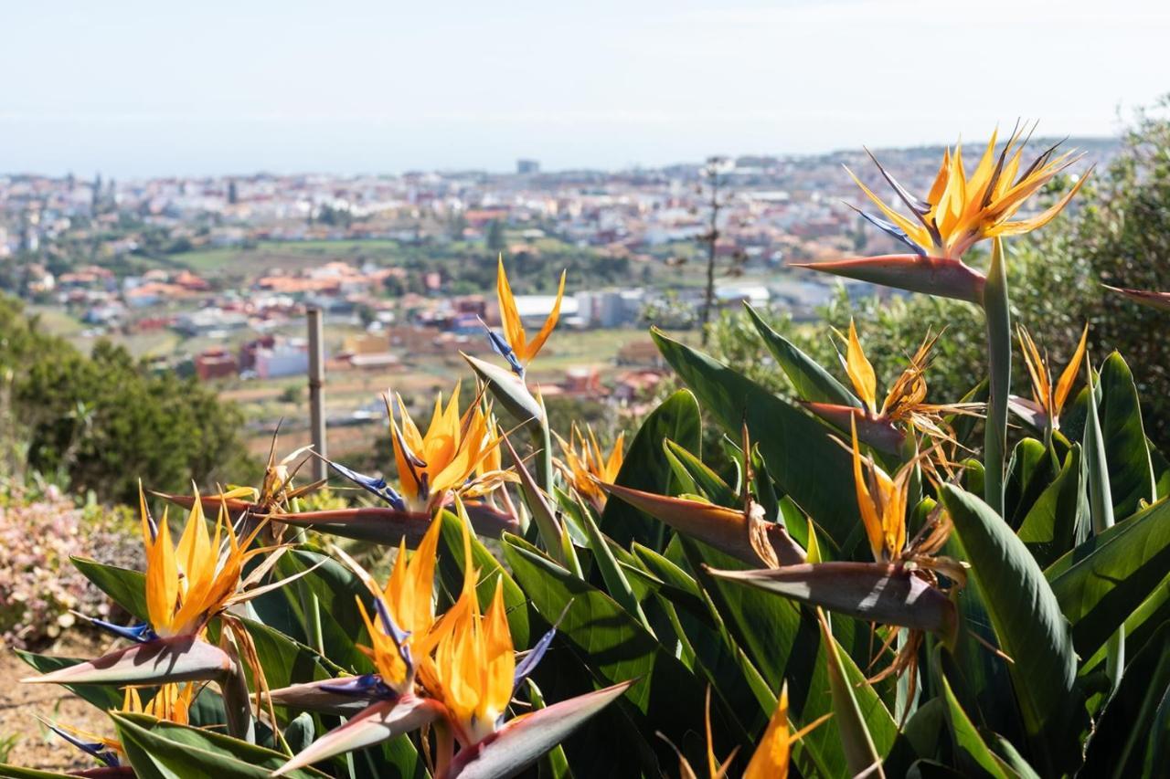 Live La Laguna Casita Vieja Zewnętrze zdjęcie